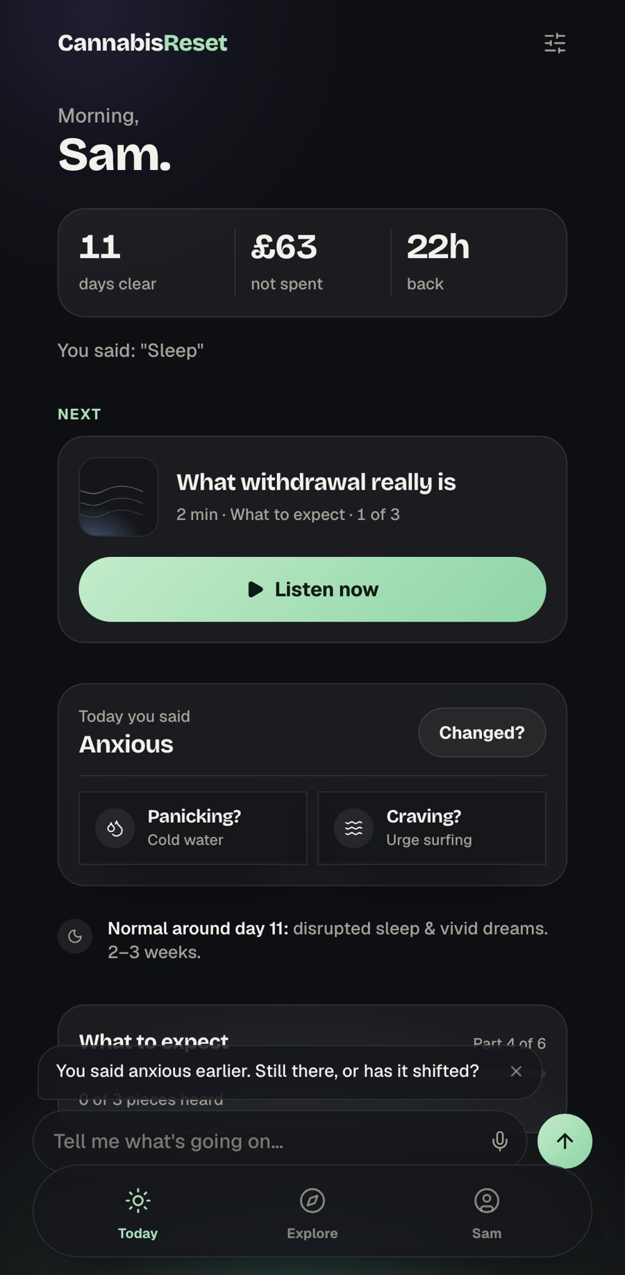 CannabisReset Today screen combining the day's check-in, the next programme step, and the companion input
